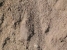 Песок карьерный чистый мытый(фр. 0-5, 0-8)
