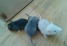 Крысята и хомячки